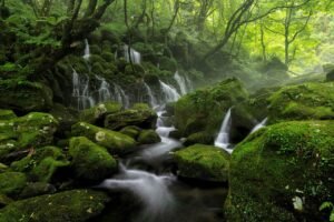 river, stream, spring, cascade, water, fog, mist, nature, stone, moss, landscape, natural, leaf, green, forest, tohoku region, japan