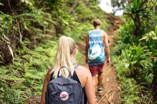 hike, hikers, scene, climb, boyfriend, girlfriend, nature, girl, lady, woman, trail, jungle, amazon