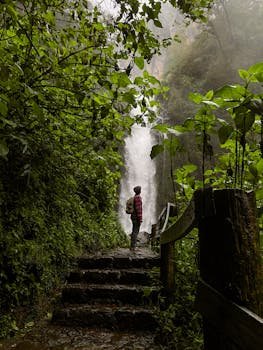 A man stands on stone steps in a lush forest in Santa Julia, Mexico, admiring a cascading waterfall.