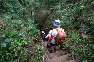A group of tourists hiking through dense, tropical forest, descending stone steps.