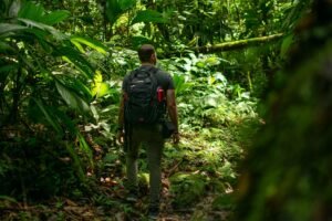 An adventurous man hikes through a vibrant green jungle, capturing the essence of exploration and nature.